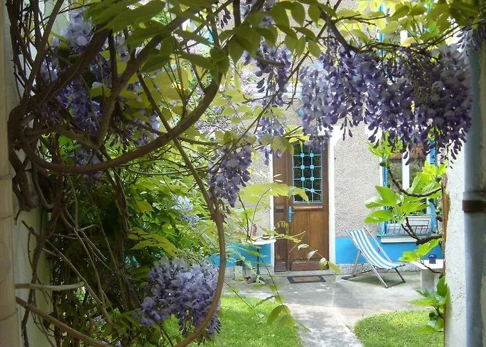 Le Jardin de Cécile et Benoit - Bed&Breakfast Malakoff