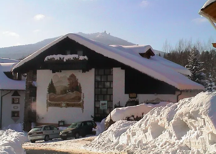 Pension Bergblick Bayerisch Eisenstein