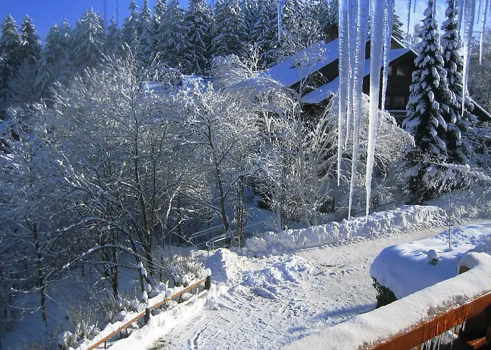 Hotel Rita Schonach im Schwarzwald