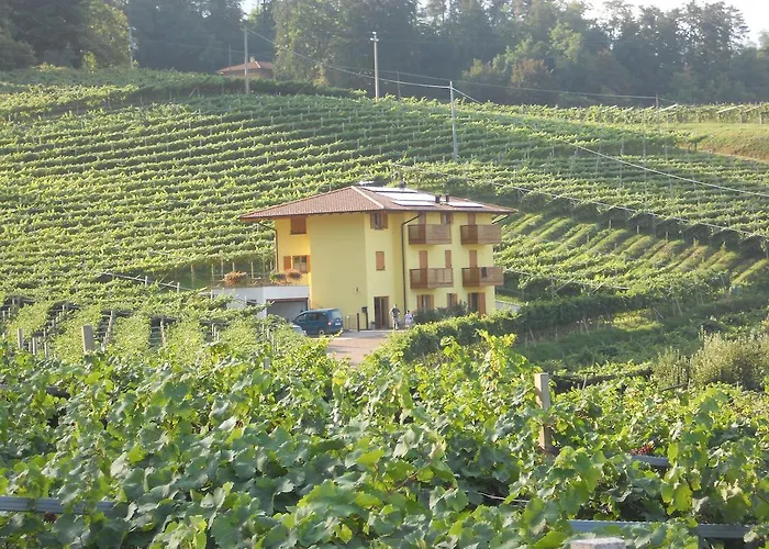 Bed and Breakfast Agritur Al Vigneto Trento