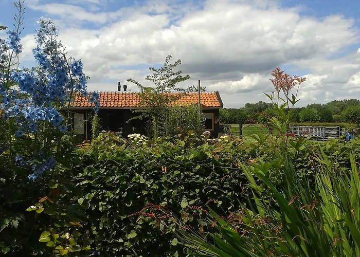 Bed And Breakfast Rodenberg Driebergen
