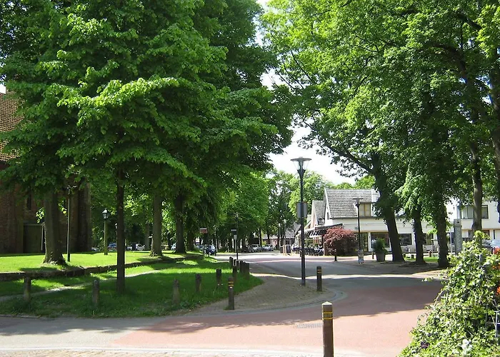B&B De Esdoorn Norg