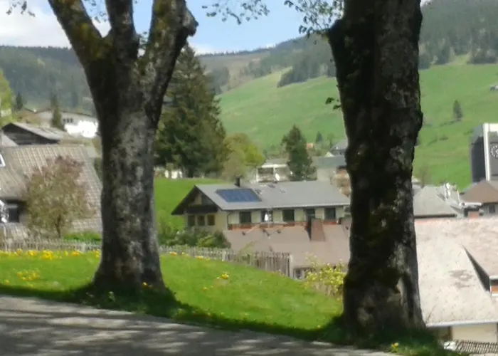 Hotel Sternen - Anno 1769 Todtnauberg