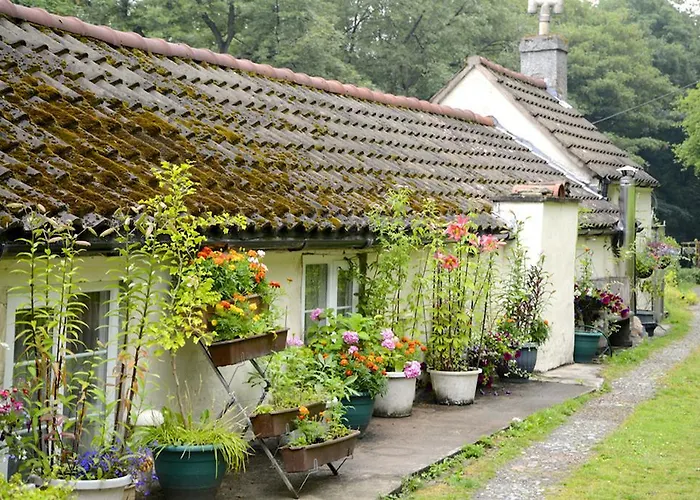 Ladywood House Bed And Breakfast Ironbridge