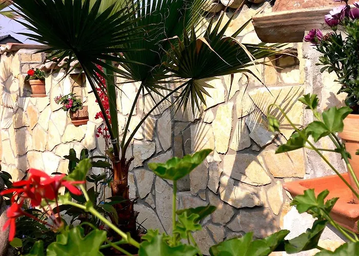 Apartmenthaus Casa Palma Bühl