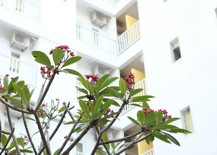 The Frangipani Living Arts Hotel And Spa Phnom Penh