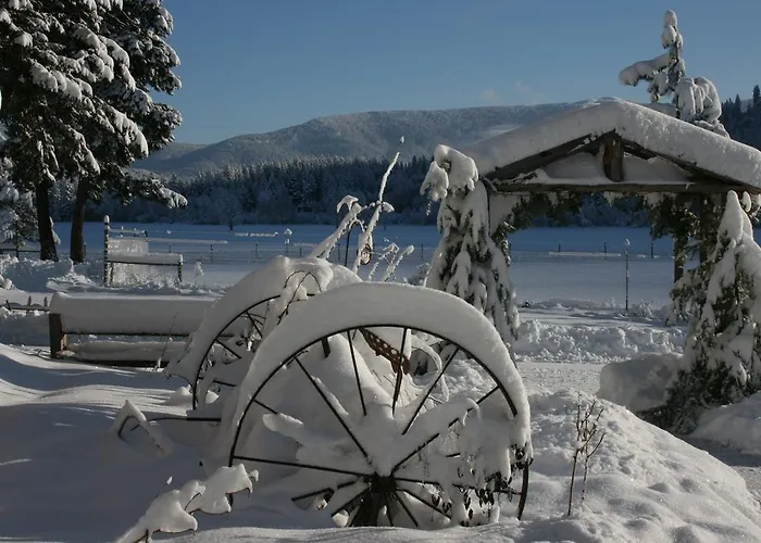 Cedar Mountain Farm Bed And Breakfast Llc Athol