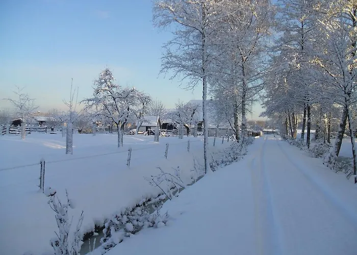 Bed And Breakfast Rodenberg Driebergen