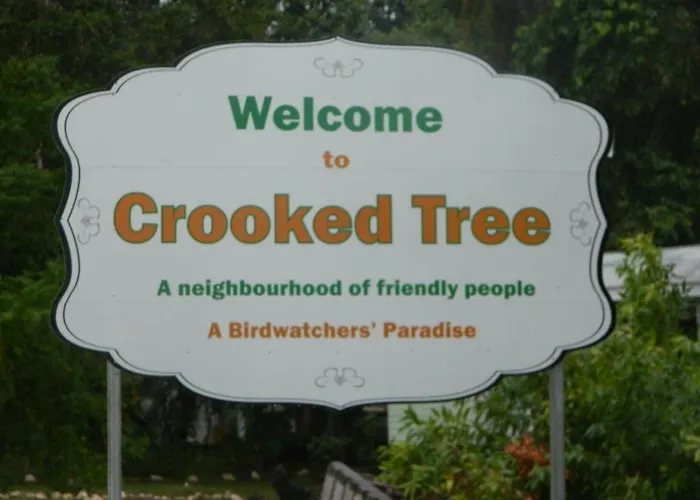 Becks Bed & Breakfast Crooked Tree