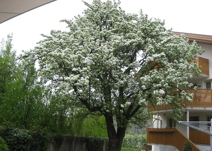 Garni Appartment Wagnerhof Rabland