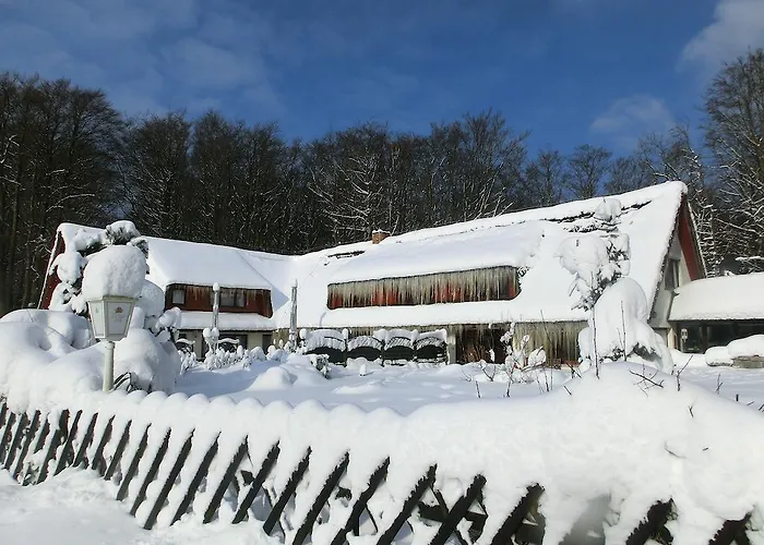Hotel Baumhaus Hagen Sassnitz