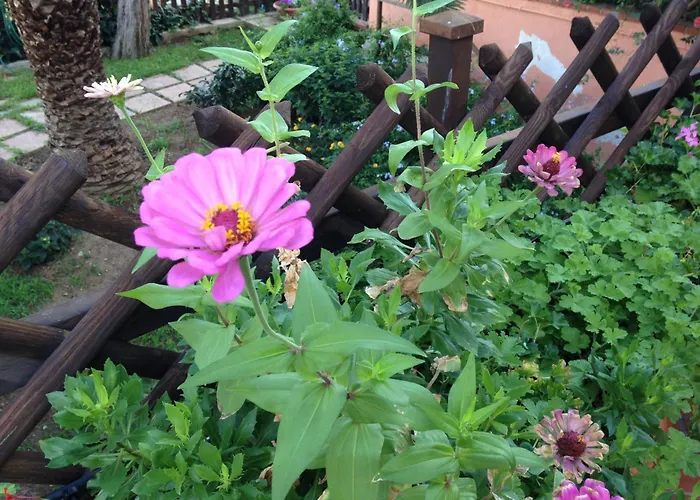 B&B Villa Di Giorgi Cefalu