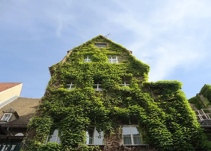 Bed and Breakfast Am Ratshof Halle 