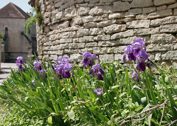 Côté-Serein - Les chambres du Clos-Malo Noyers-sur-Serein