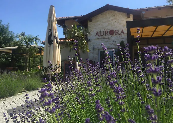 Aurora Panzio Bed & Breakfast Buk