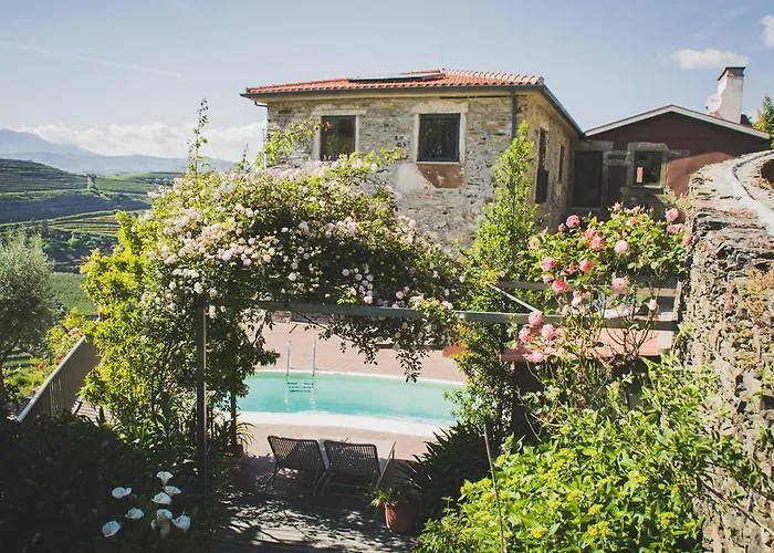 Casa Do Romezal Hotel Peso da Régua