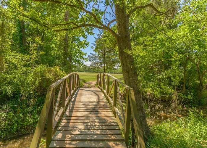 Lake Conroe One-Bedroom Cabin 3 Willis