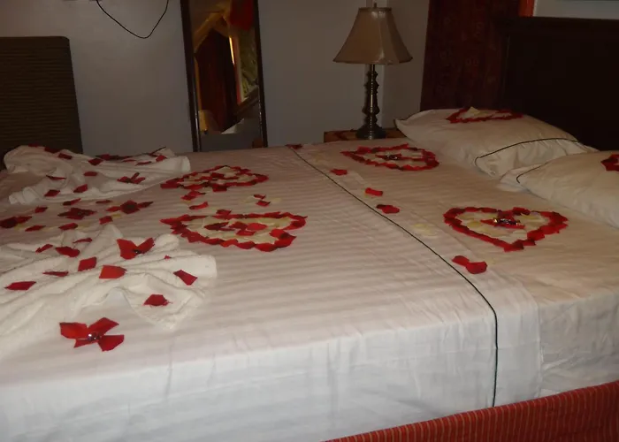 Aracari Resort Georgetown