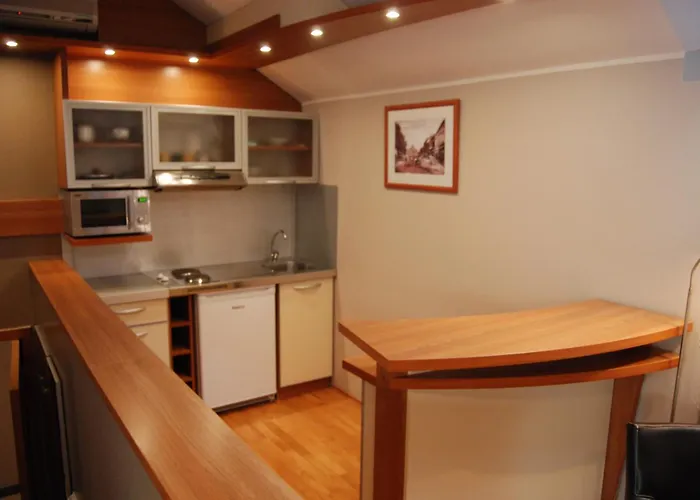 Car Royal Apartments And Rooms Novi Sad