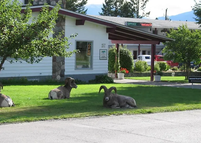 Mountain Springs Motel Radium Hot Springs