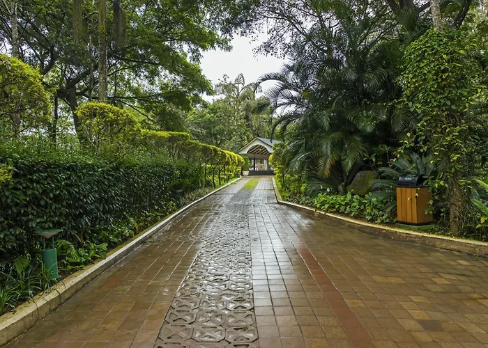 The Windflower Resort & Spa, Coorg Suntikoppa