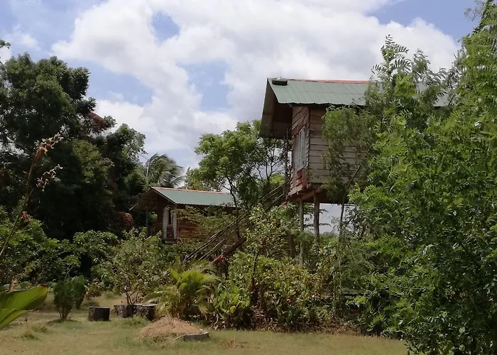 Sigiri Forest View Sigiriya