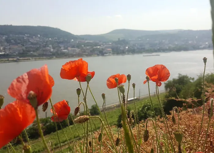 B&B Ruthmann-Rheinblick Oestrich-Winkel