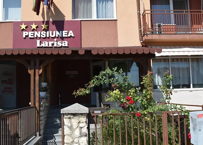 Pensiunea Larisa Arad