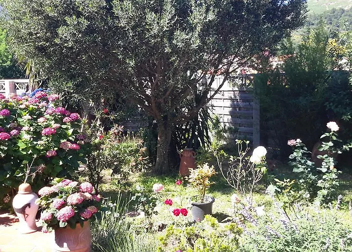 La Chambre De Salome Collioure