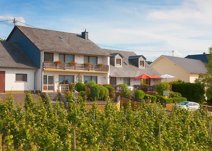 Pension und Weingut Moselblick Brauneberg