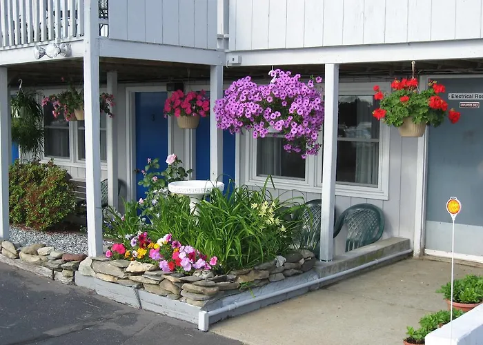 Sea Whale Motel Middletown