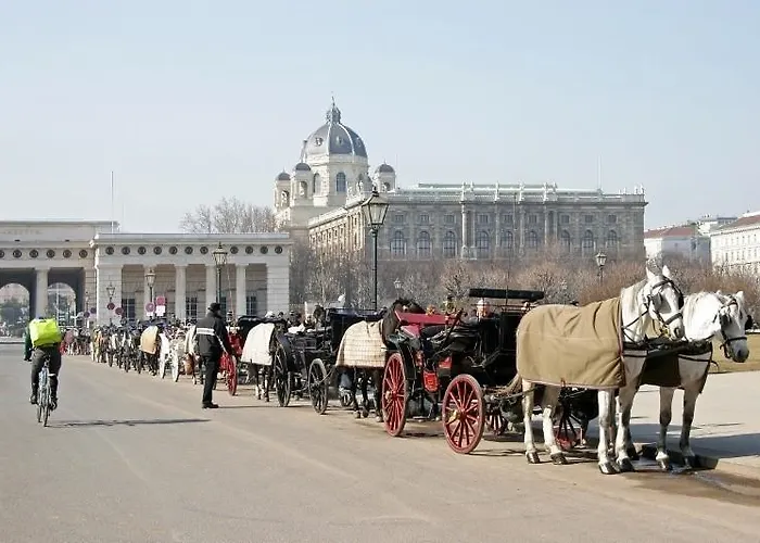 Pension Reimer Viena