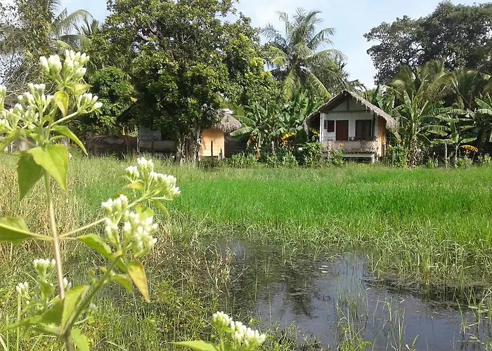 Lake Cabin Polonnaruwa