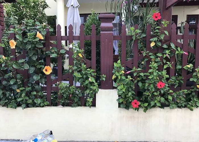 Qua Cam Tim Homestay Hội An