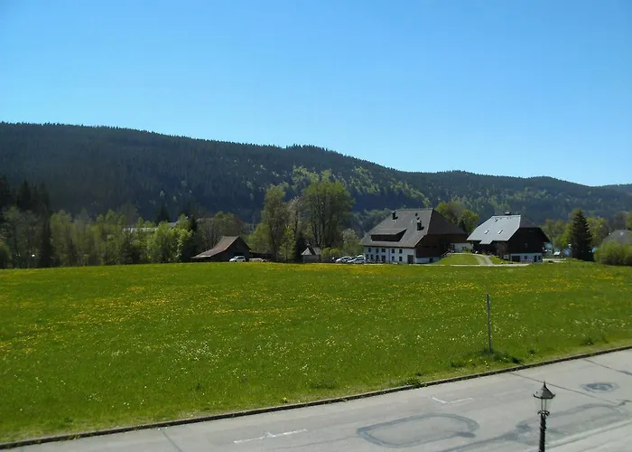 Hotel Rheingold Garni Titisee-Neustadt