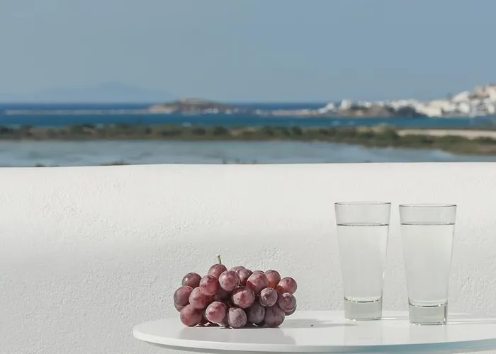 Naxian Spirit Suites & Apartments Agia Anna 