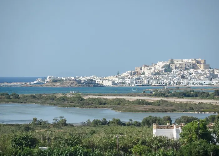 Naxian Spirit Suites & Apartments Agia Anna 