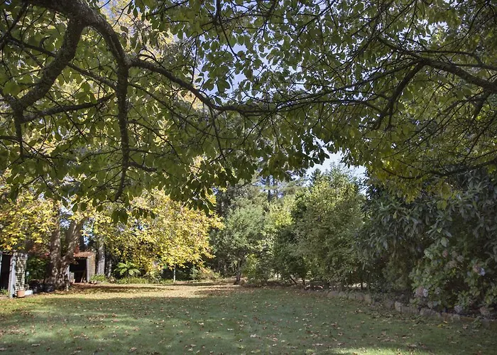 Secrets Hideaway Bed & Breakfast Blackheath
