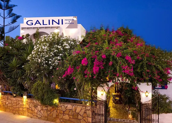 Galini Pension Chora 