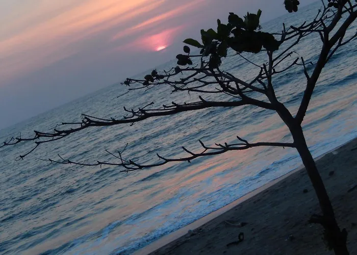 Sealine Beach Resorts Cherai Beach