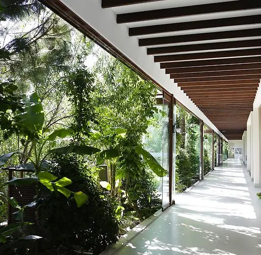 The Lifeco Bodrum Well-Being Detox Center And Vegan Hotel (Adults Only) Golturkbuku
