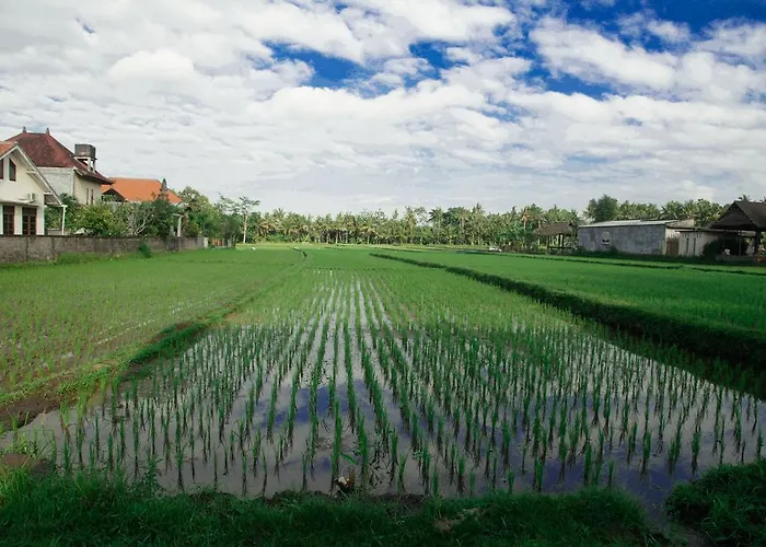 Canang Sari House Ubud
