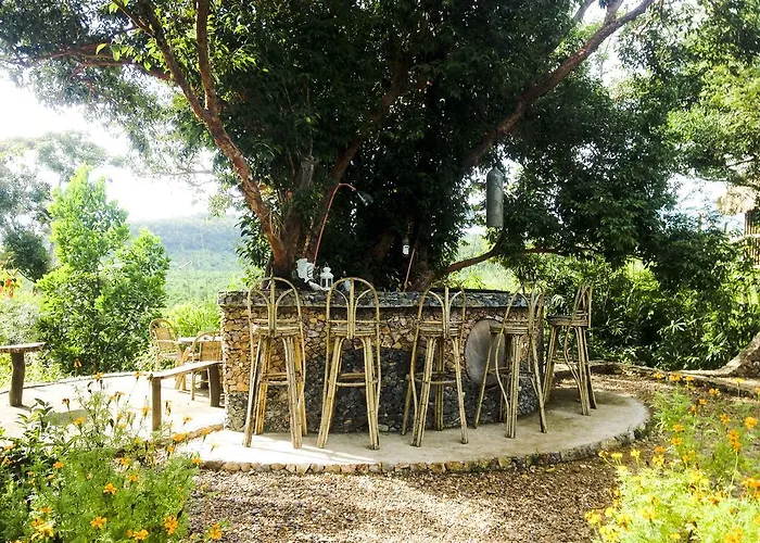 Sanctuaria Treehouses Coron