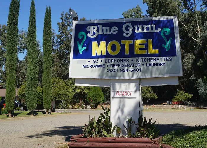 Blue Gum Motel Willows