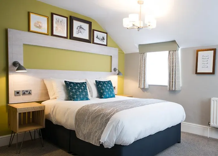 The Hedgehog By Innkeeper'S Collection Lichfield