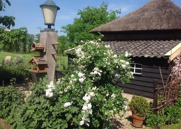 De Bolderie Bed and Breakfast Markelo