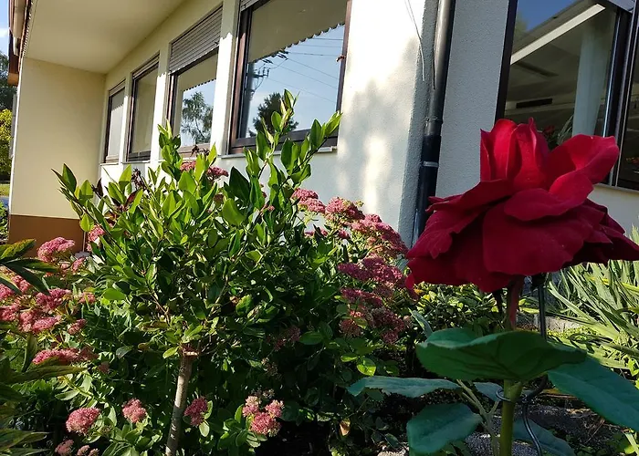 Hotel Rosenbach Reutlingen