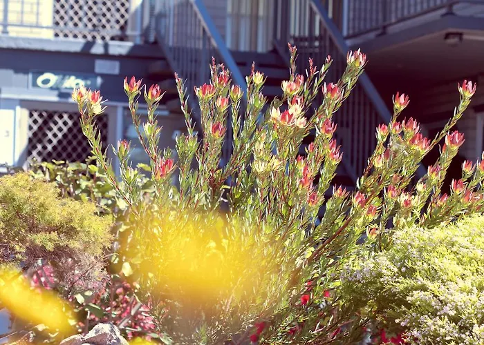 The Sands Holiday Apartments Merimbula