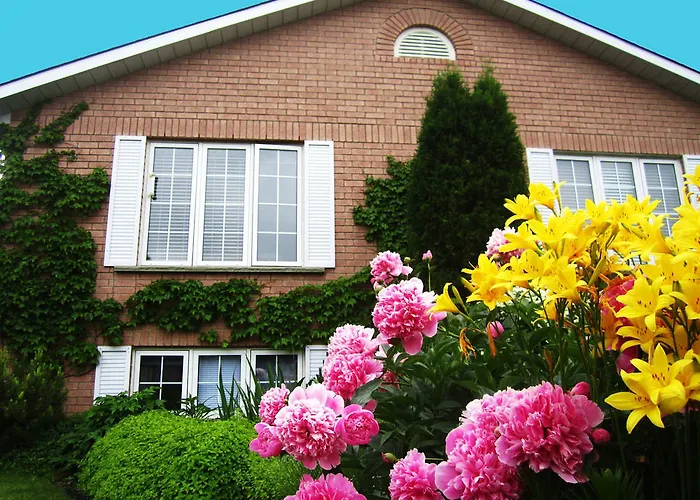 Opus 74 Bed & Breakfast Stratford