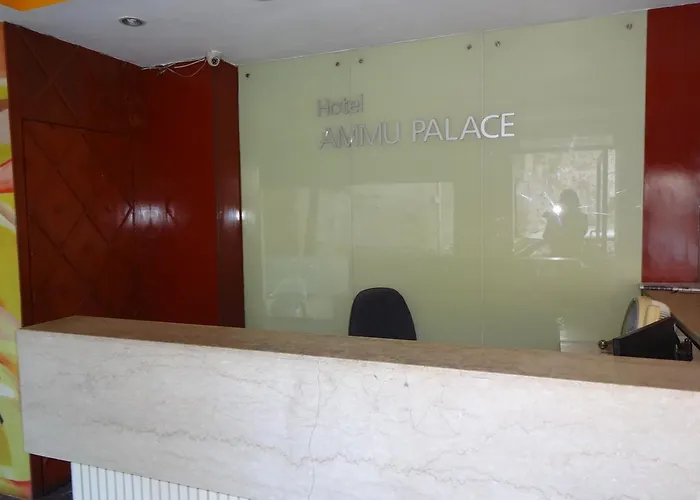 Hotel Ammu Palace Chennai